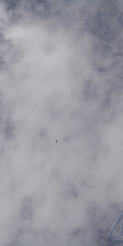 2012 Koprník MirekTopinka